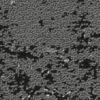 Balsan Stimuli Balsan Stimuli 960 фото 2 | FLOORDEALER